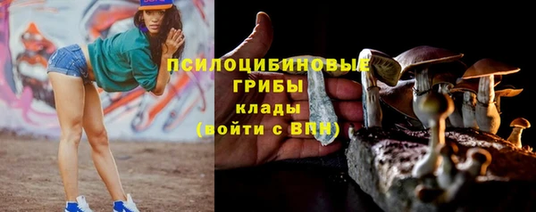 дурь Богородск
