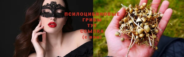 скорость Богородицк