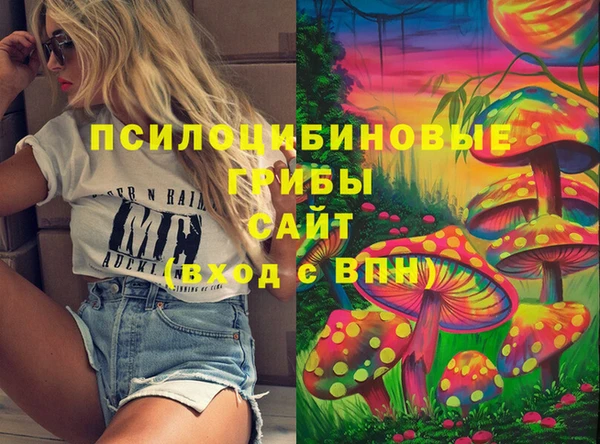 скорость Богородицк