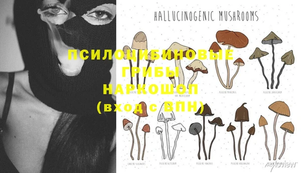 дурь Богородск