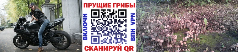 Галлюциногенные грибы MAGIC MUSHROOMS  мега маркетплейс  Горячеводский 